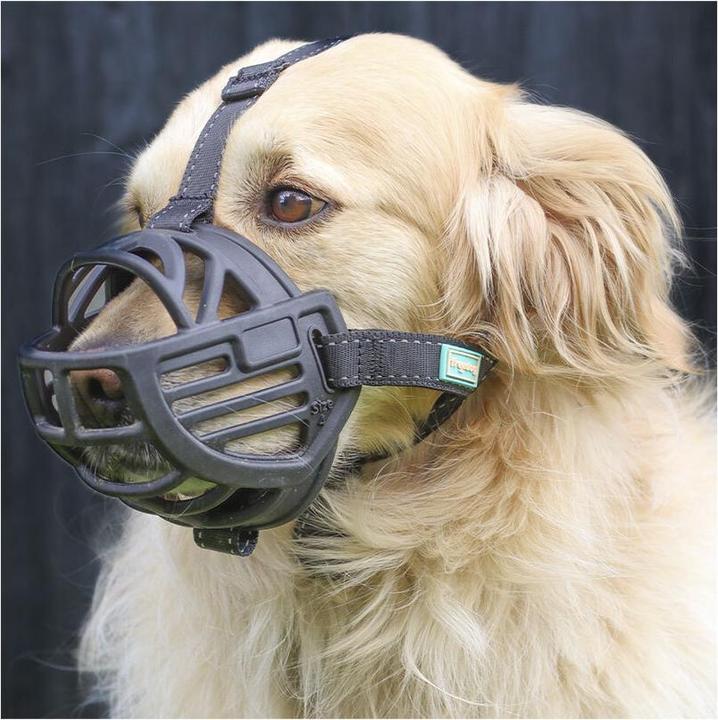 Produktbild Freedog Maulkorb Ergo Plus S (S, Hund, Hundesport)