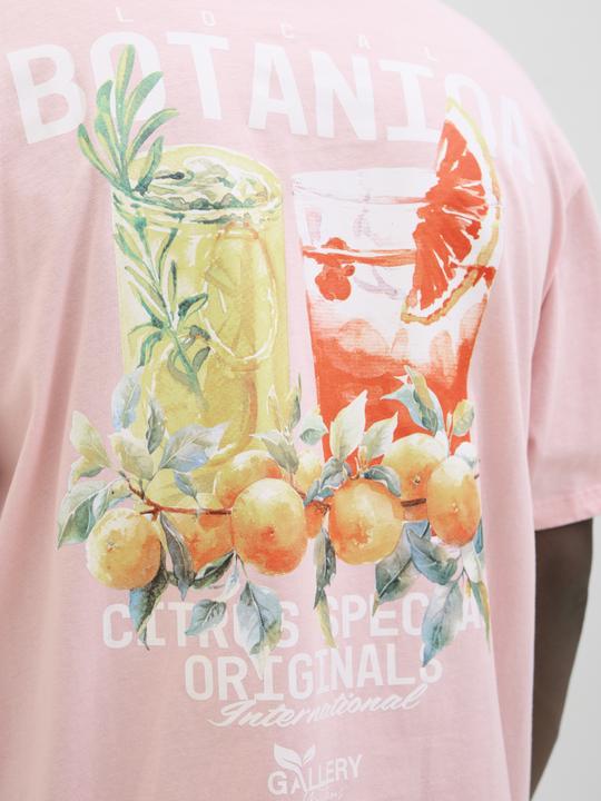 Actual product image Jack & Jones Jorbotaniq Tee Ss Crew Neck Tg Ln (XXL)