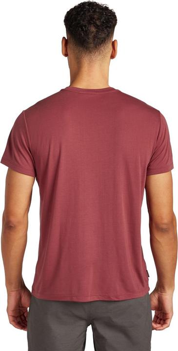 Immagine prodotto Icebreaker Men Merino Blend Core SS Tee Tech Head (S)