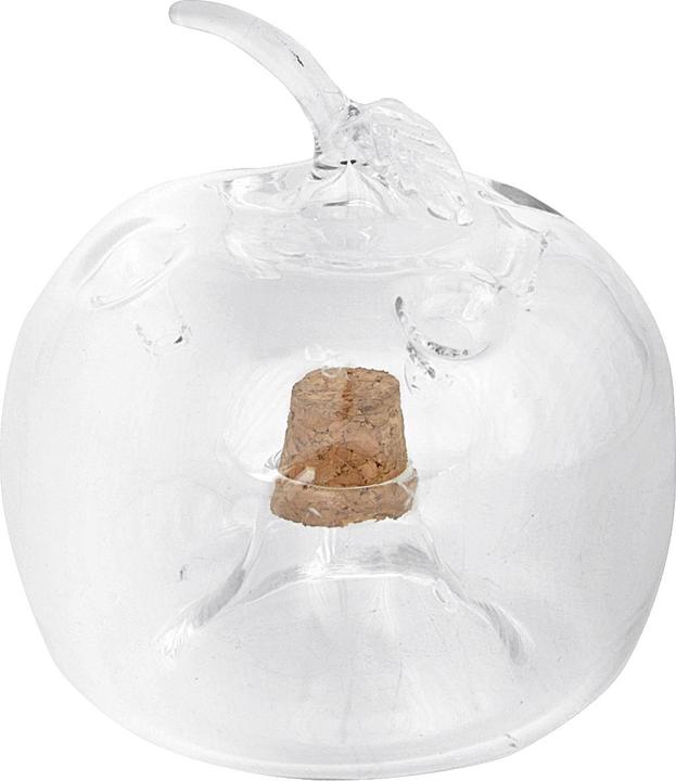 Image du produit Esschert Design Piège à mouches à fruits Pomme