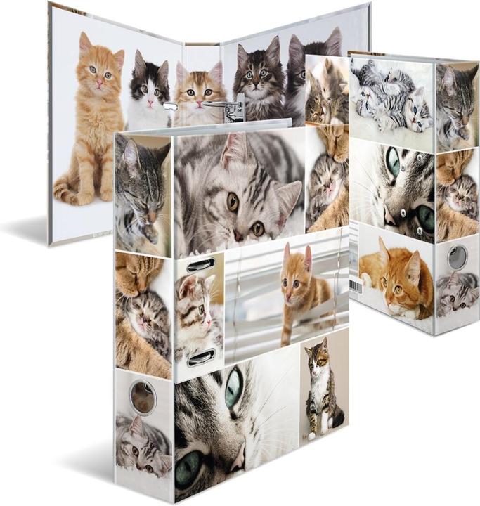 Actual product image HERMA A4 folder motif (A4, 70 mm, 1 Piece)