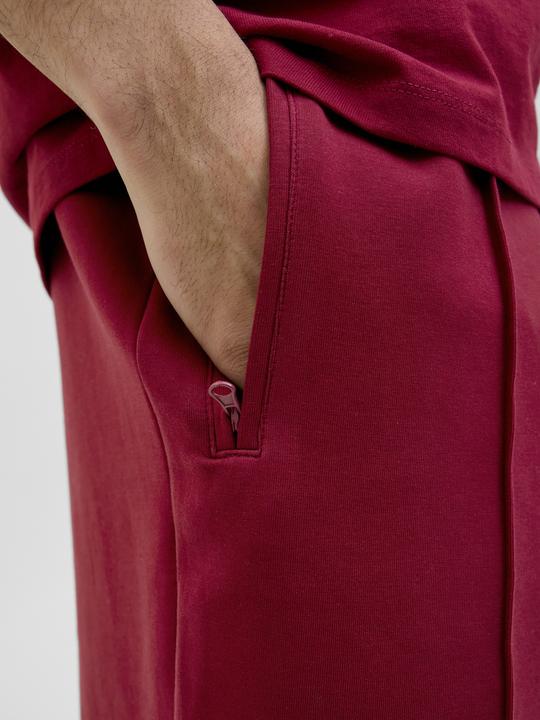 Image du produit Jack & Jones Jpstbill Fletcher Shorts C Org Styd Ss25 (XS)