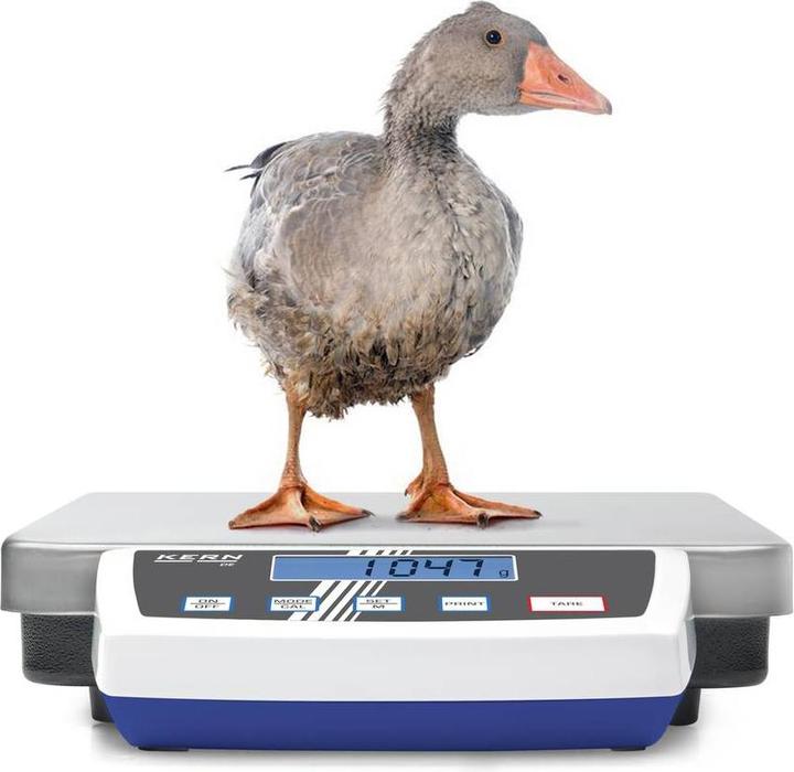 Produktbild Kern Plattformwaage Wägebereich (ma