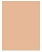 Image du produit Wet n Wild photo focus (Ivoire nu)