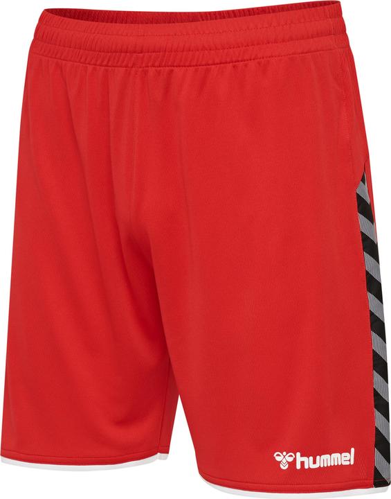 Actual product image hummel Authentic Poly Shorts (XL)