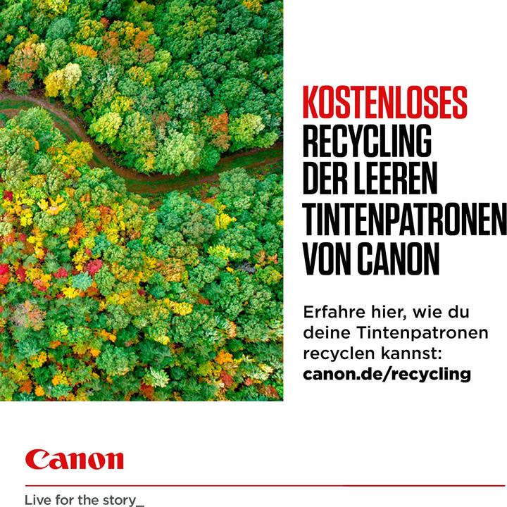 Produktbild Canon Cli-8m (M)