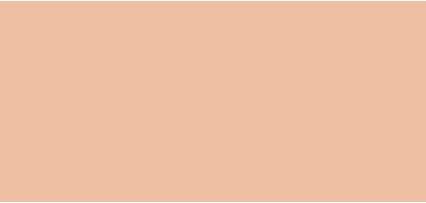 Clé De Peau Radiant Fluid Foundation Matte B10 (B10 - Light Beige)
