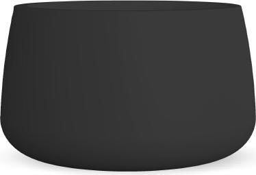 Image du produit Newgarden Camelia 80 (79 cm)