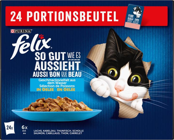 Image du produit Felix Aussi bon que beau (Adulte, 24 pcs, 2040 g)