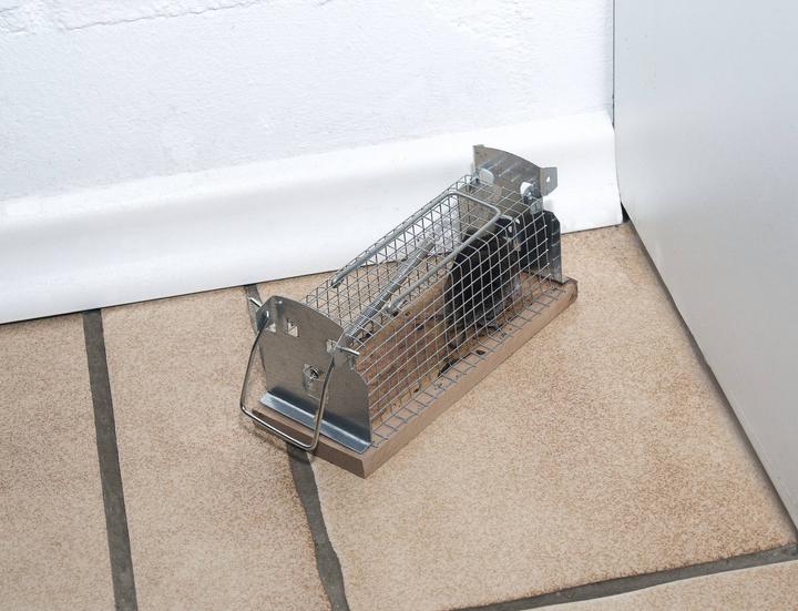 Actual product image Gardigo Live Trap Live Mouse Trap Lo