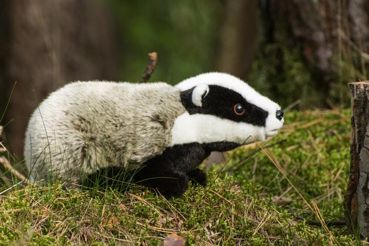Actual product image Teddy Hermann Badger 30cm (12 cm)