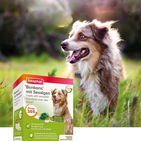 beaphar Schafsfett mit Algen (245 g)