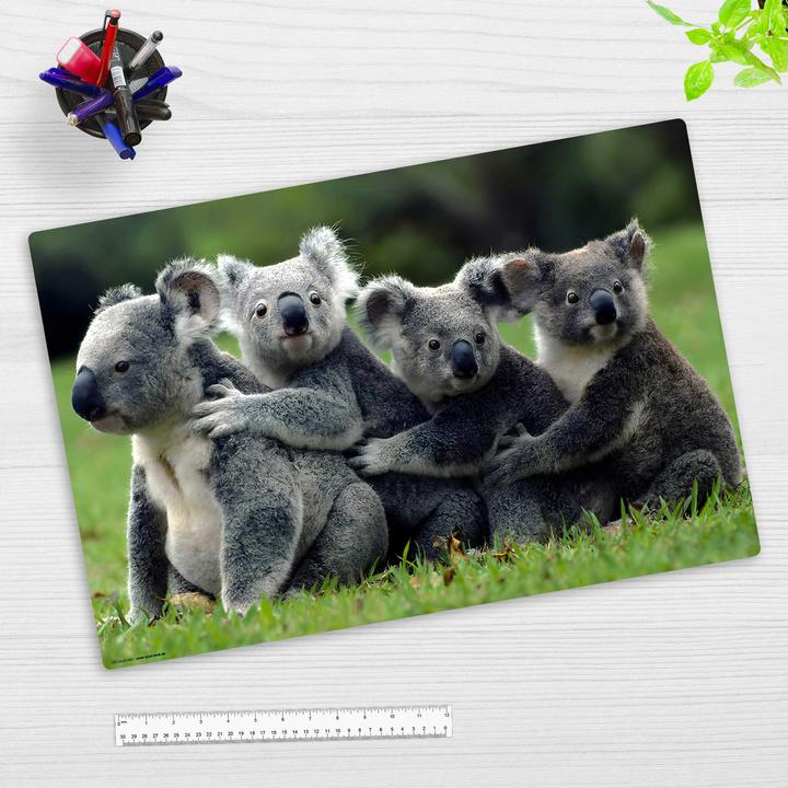 Immagine prodotto CoverYourDesk Schreibunterlage KOALA (60 x 40 cm)