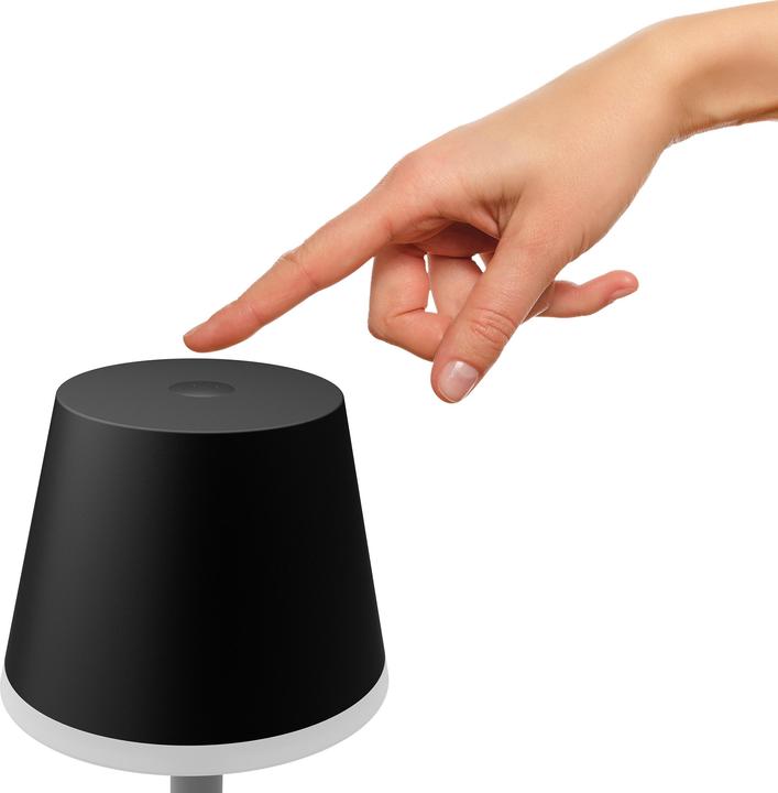 Actual product image Philips Hue Go (370 lm)