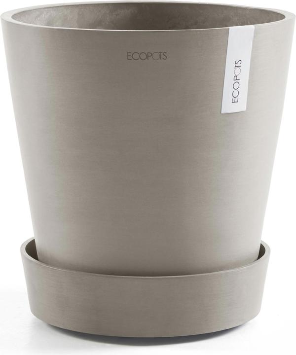 Actual product image Ecopots Saucer on Wheels