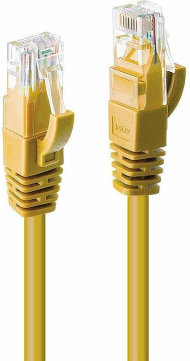 Produktbild Lindy Netzwerkkabel (U/UTP, CAT6, 3 m)