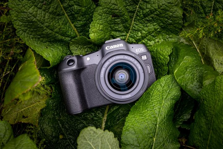 Actual product image Canon EOS R8 Kit - (EU) (24 - 50 mm, 24.20 Mpx, Full frame)