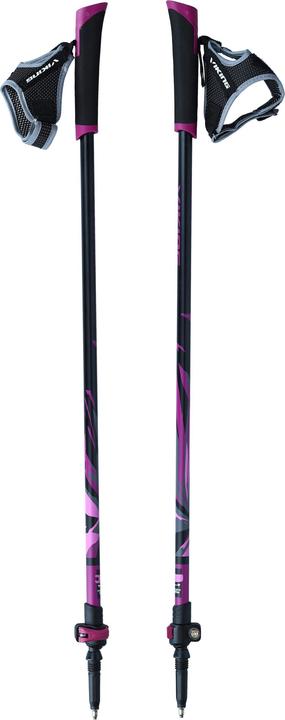 Vikingsports Wikingerpolen Uppsala Nordic Walking