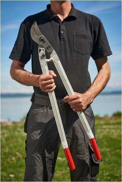 Actual product image Felco Two-hand shears