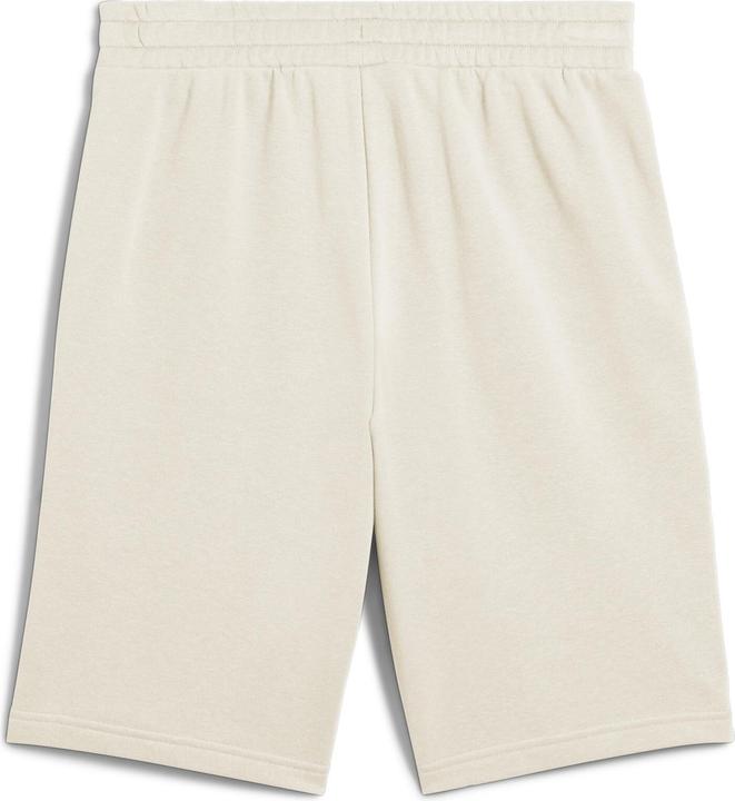Image du produit Puma ESS 2 COLOR No. 1 Logo Shorts 10" TR (M)