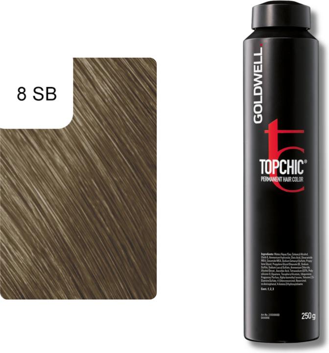 Image du produit Goldwell Topchic (8-SB blond argenté)