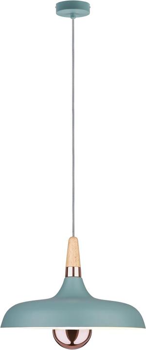 Actual product image Paulmann Neordic Juna (E27)