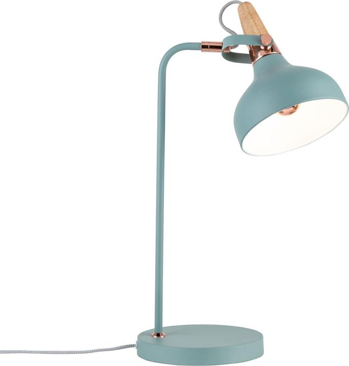 Actual product image Paulmann Neordic Juna (E14)