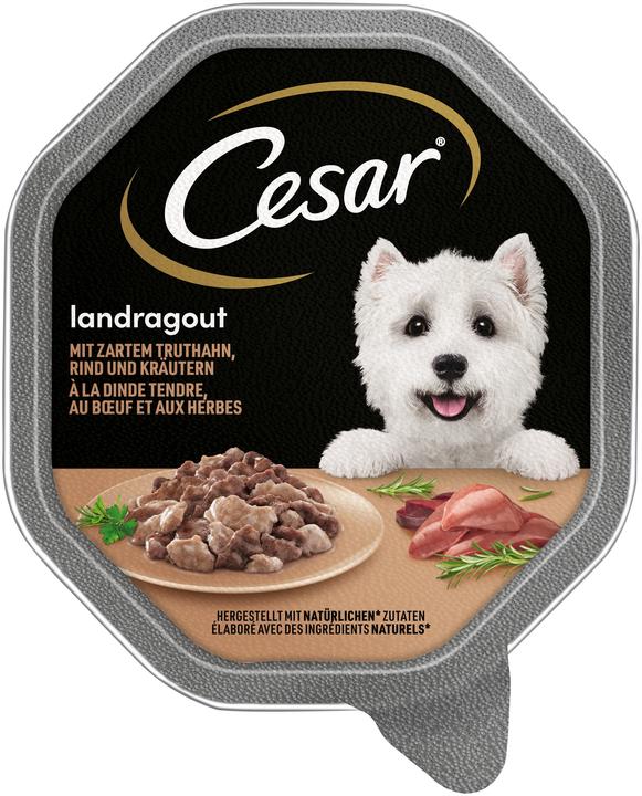 Cesar Landragout Truth./Rind (Adult, 14 Stk., 150 g)
