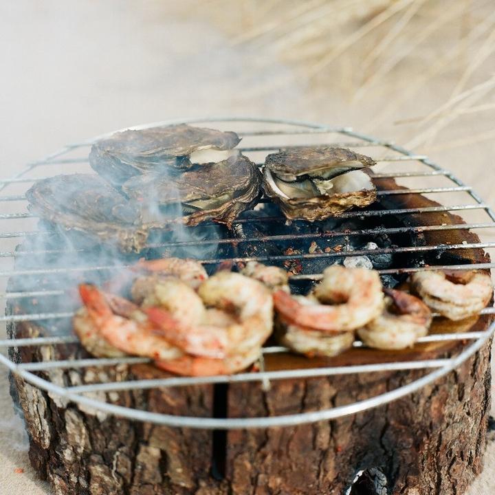 Actual product image EcoGrill disposable grill