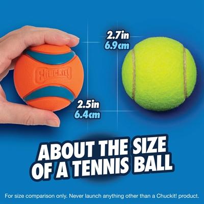 Image du produit Chuckit! Balles en caoutchouc (Jouet à mâcher pour chien)
