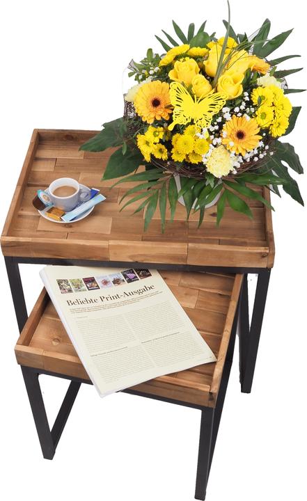 Immagine prodotto Migros Ostschweiz Struzzo Biedermeier grande (Fiori recisi)