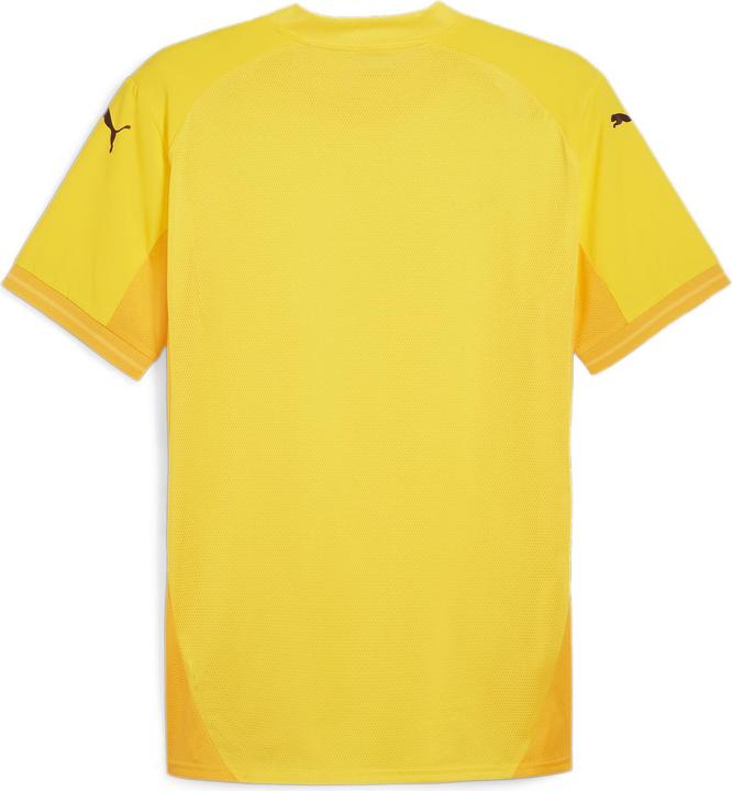 Actual product image Puma teamFINAL Jersey (M)