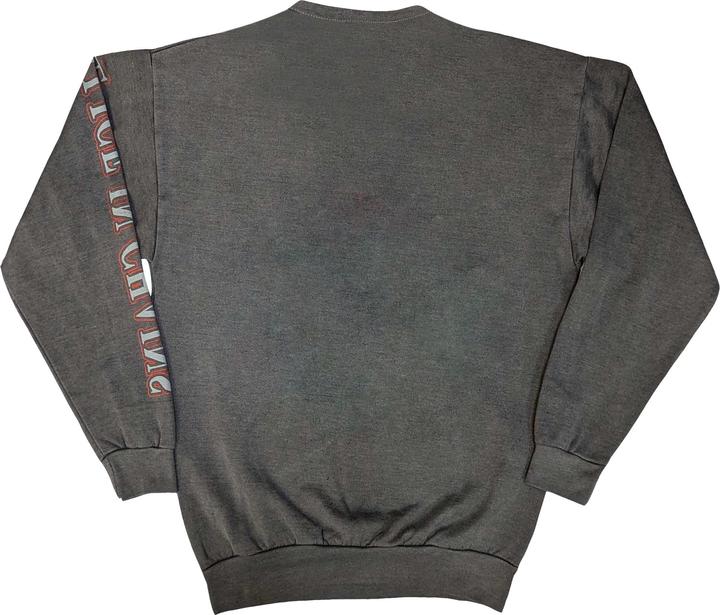 Image du produit Alice In Chains Sweat-shirt unisexe adulte Sasquatch Sunset (S)