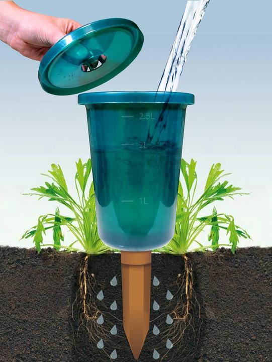 Actual product image Bio Green Hydro Cup Set (Clay cone)