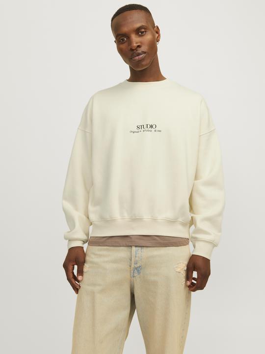 Produktbild Jack & Jones Jorbrooklyn Graphic Sweat Crew Neck Ln (S)