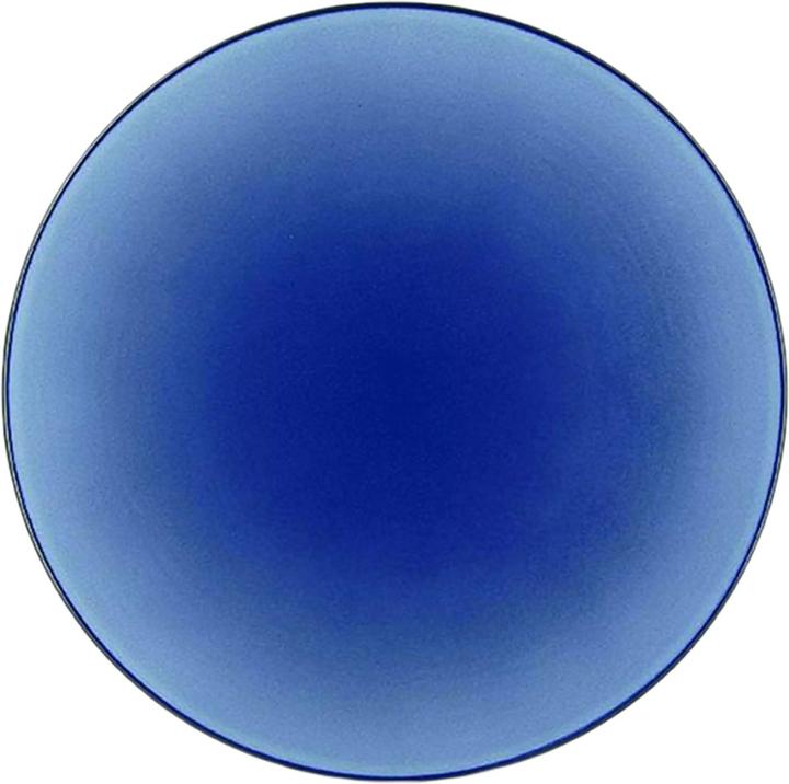Actual product image Revol plates (1 x, 24 cm)