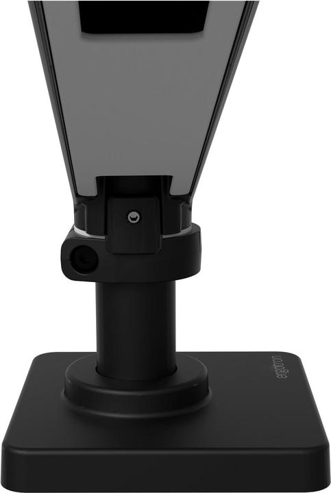 Actual product image Ergotron LX PRO ARM DUAL DIRECT DESK MOUNT black (Table, 27")
