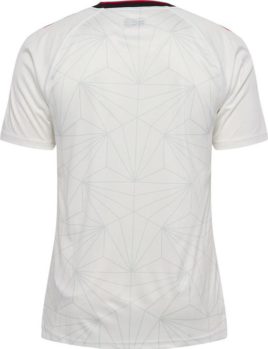 Image du produit hummel Maillot FC Southampton 2022-23 (L)