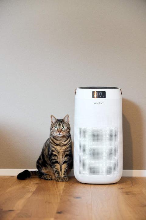 Image du produit ecofort ecoQ CleanAir 400 (80 m²)