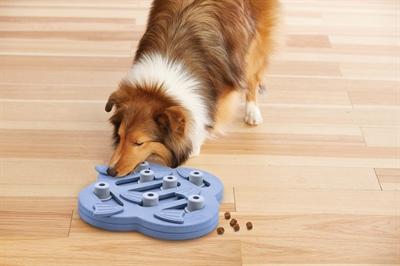 Produktbild Nina Ottosson Dog Hide N' Slide (Intelligenzspielzeug Hund)