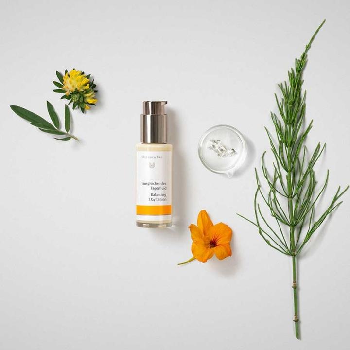 Actual product image Dr. Hauschka Balancing day fluid (50 ml)