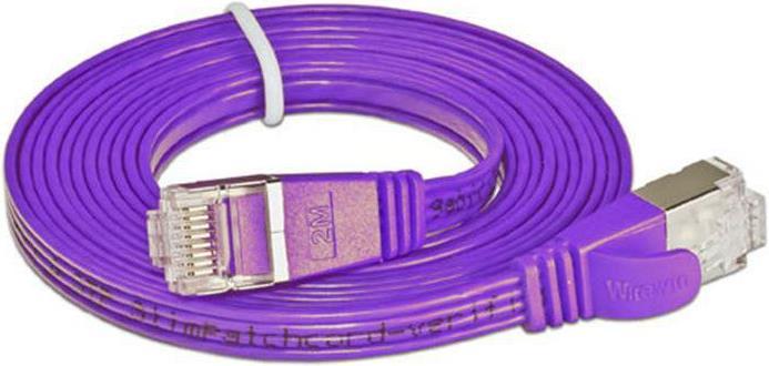Actual product image Wirewin Network cable (UTP, CAT6, 0.25 m)
