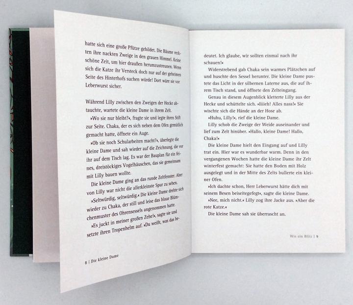 Produktbild Die kleine Dame und der rote Prinz (Stefanie Taschinski, Deutsch)