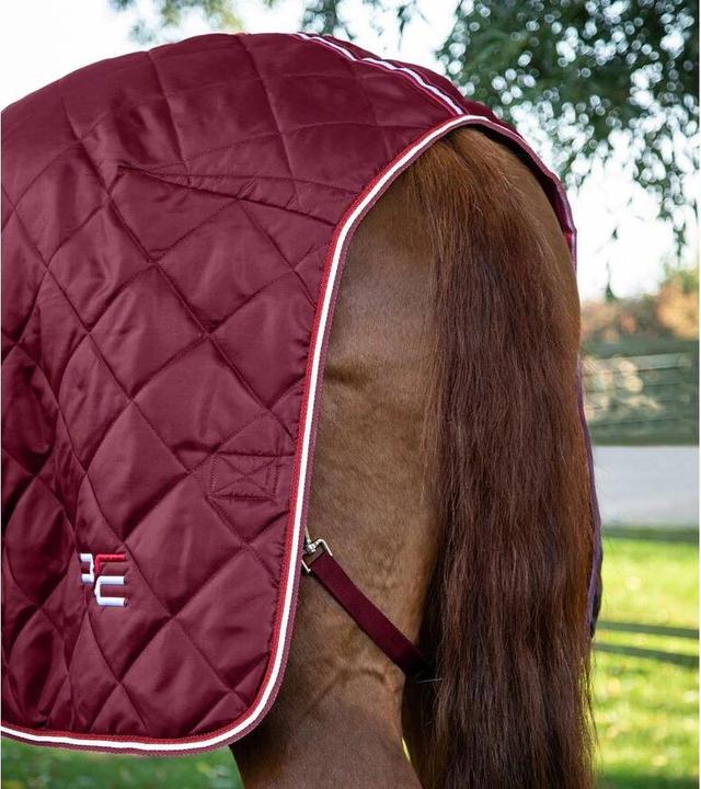 Produktbild Premier Equine Tuscan 100 g (213 cm)