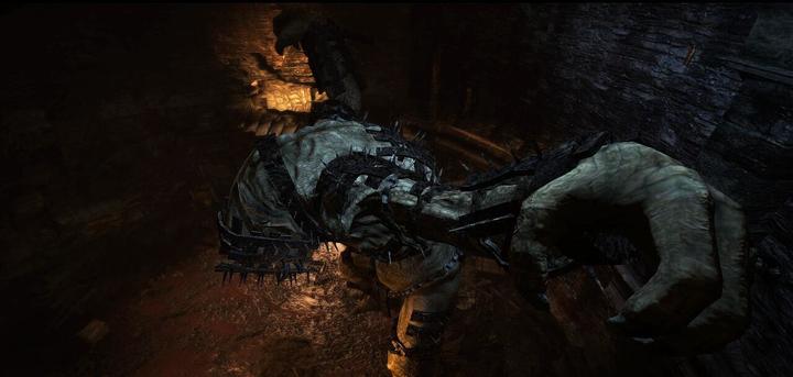 Image du produit Capcom Dragon's Dogma : Dark Arisen -US- (Switch, Switch Lite, Switch OLED, EN)