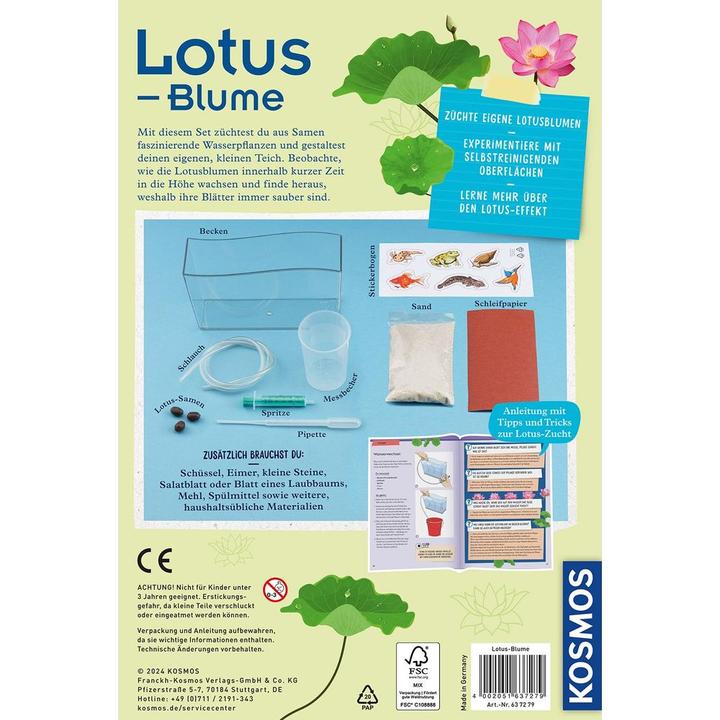 Actual product image Kosmos Lotus flower