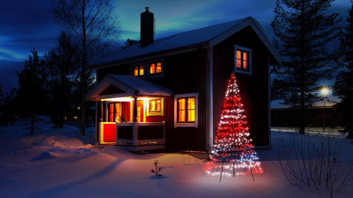 Actual product image Twinkly Light tree