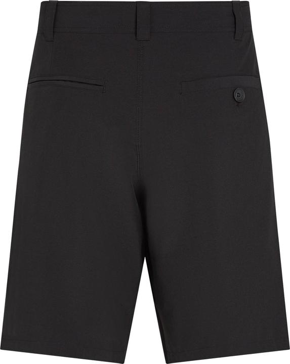 Actual product image O'Neill Hybrid Chino 19 Shorts (31)