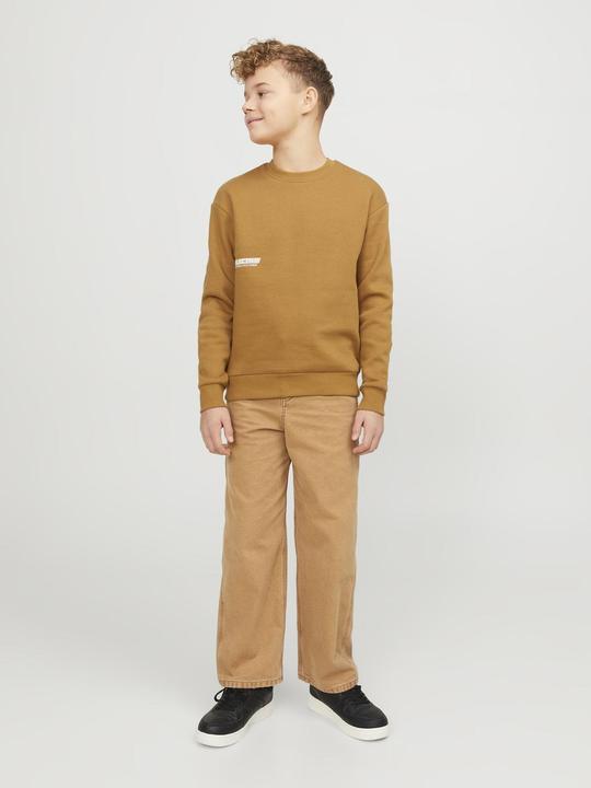 Produktbild Jack & Jones Jorcollect Edt Loose Sweat Crew Jnr (140)