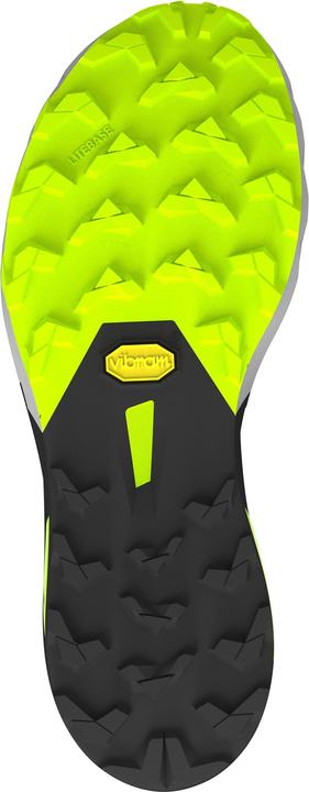 Produktbild Dynafit Alpine DNA 2 Laufschuhe Unisex (42)